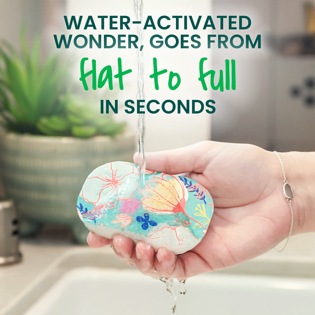 Scotch-Brite Pop Up Sponges - Expands In Water, 3 Sponges