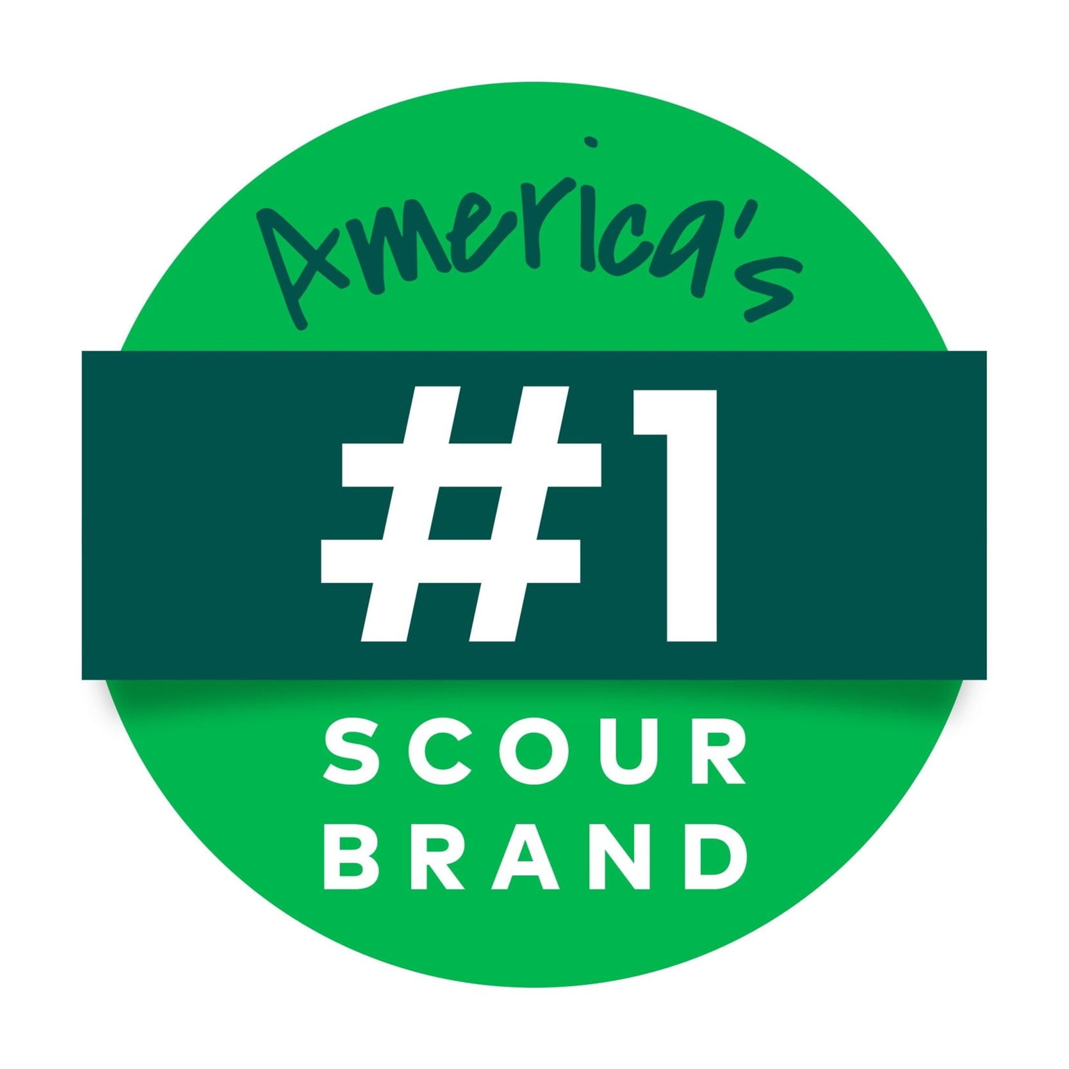Scotch-Brite Heavy Duty Scour Pads - 6 Sponges Total - 10-Pack