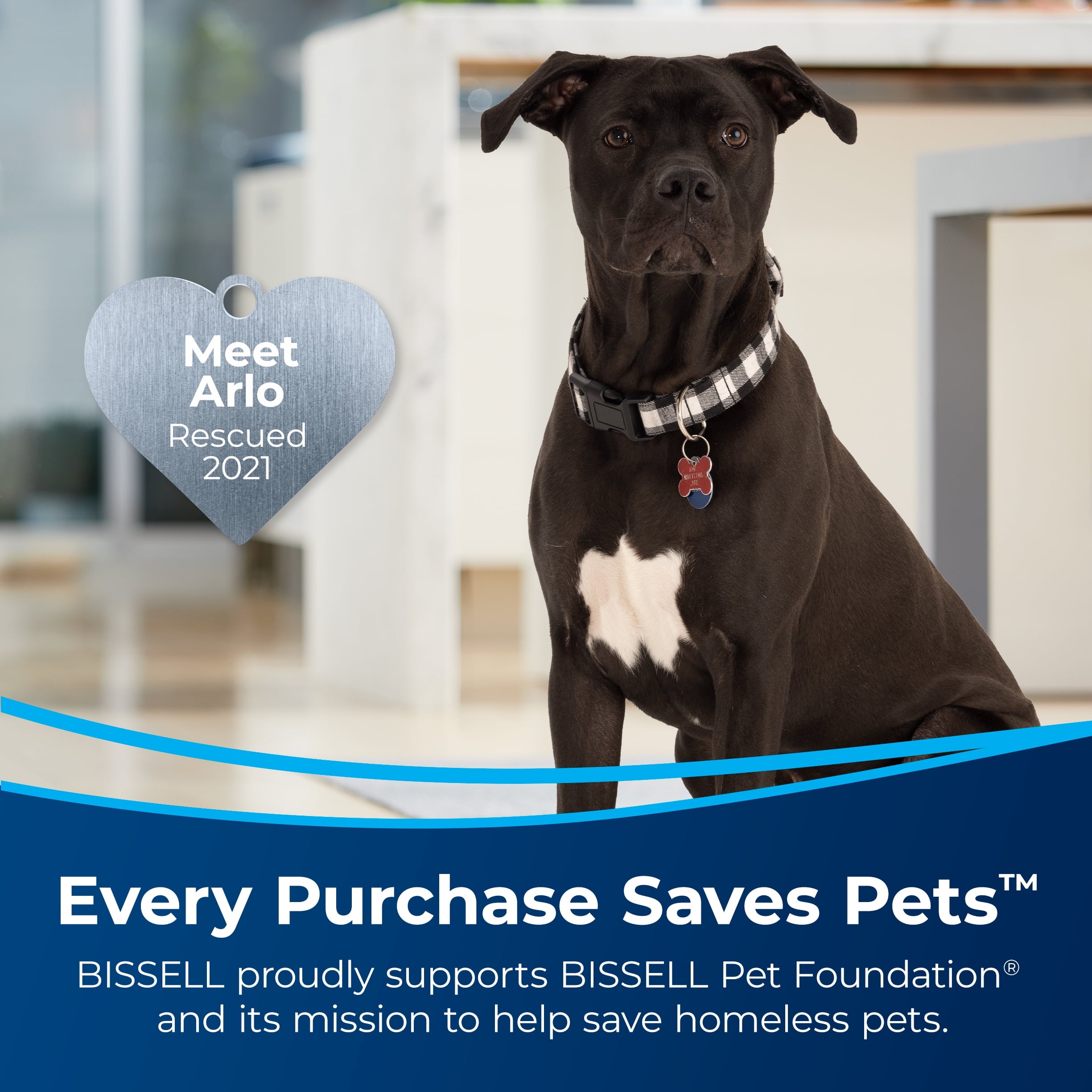 BISSELL PowerForce Helix - Bagless, Upright Vacuum, Pet Friendly, Scatter-Free Technology, Helix Dirt Separation System, Lightweight, 3313, Blue & Black