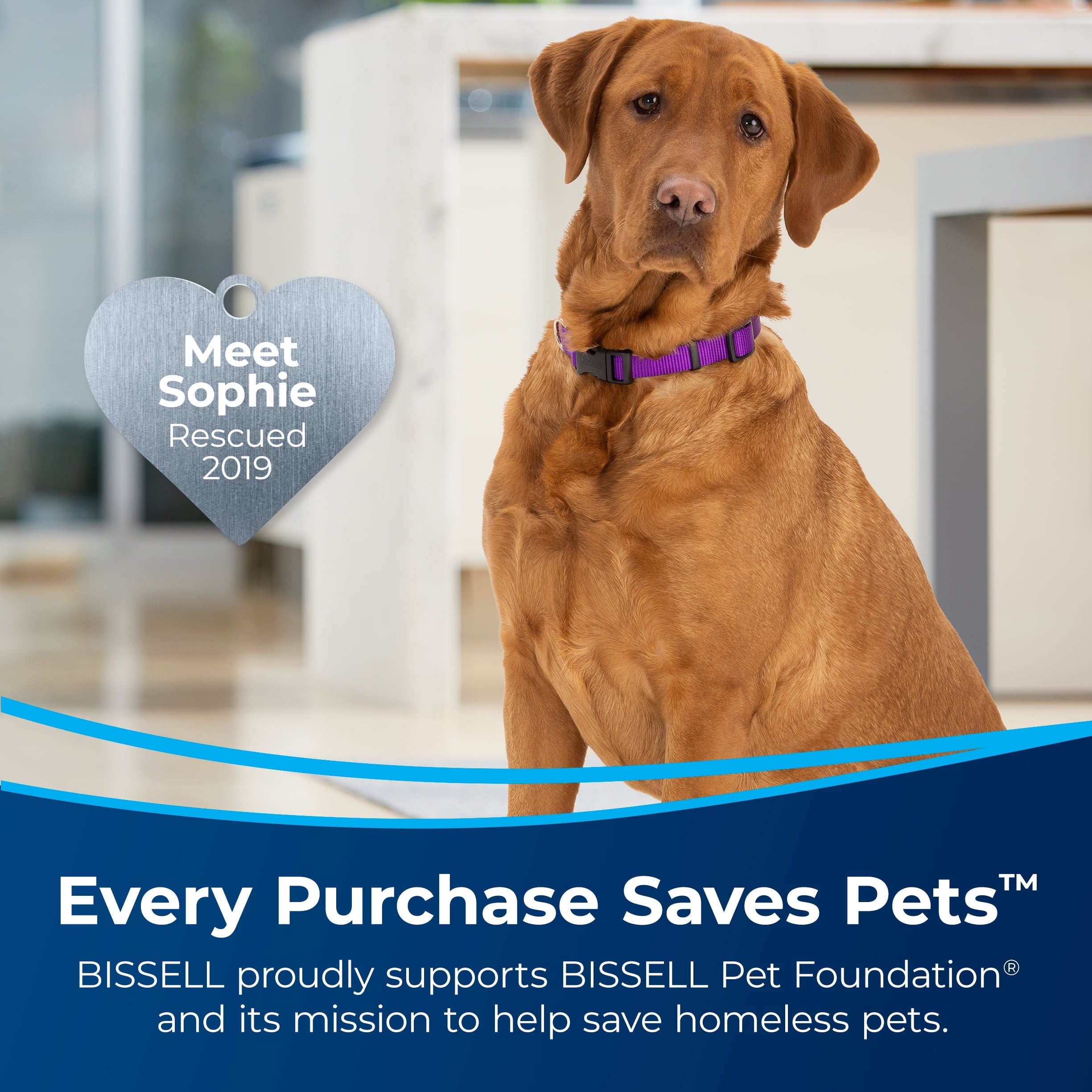 BISSELL PowerForce Helix Turbo Pet - Bagless, Upright Vacuum, Pet Friendly, Specialized Pet TurboBrush Tool, Wide Cleaning Path, Easy Empty Large Capacity Dirt tank, 3332, Black & Red